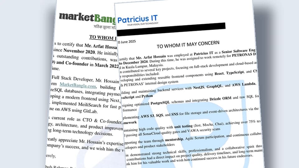 Professional Experience Evidence evidence document preview